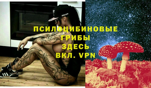 гидра Белоозёрский