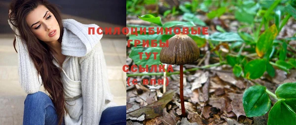 гидра Белоозёрский