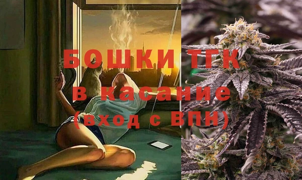 гидра Белоозёрский