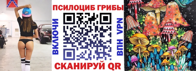 Псилоцибиновые грибы Psilocybine cubensis  Ковдор 